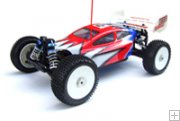 BSD Racing 1/8 Nitro Buggy